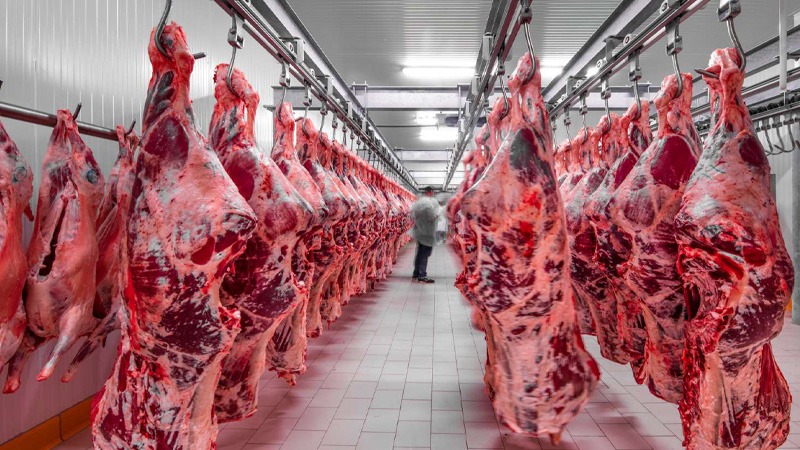 درباره ما بازرگانی اسپید