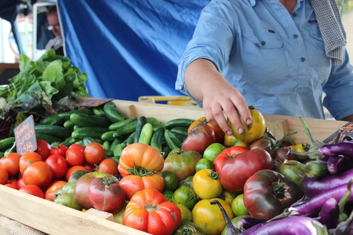 اتصال ترازو به میادین در شیراز